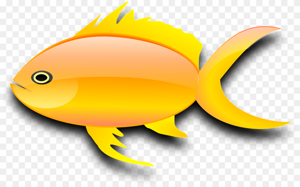 Fish Goldfish Digital Free Vector Graphic On Pixabay Gold Fish Clip Art, Animal, Sea Life Png