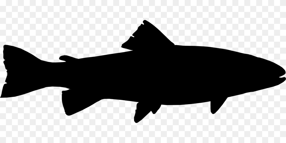 Fish Graphic Group, Gray Free Png