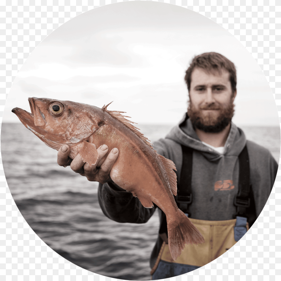 Fish Group, Photography, Adult, Person, Man Png