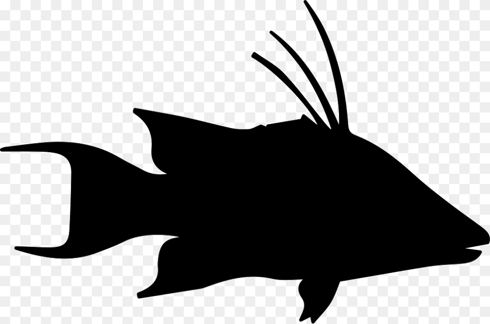 Fish Hog Snapper Shape Comments Porco Vetor Icone, Silhouette, Stencil, Animal, Sea Life Png