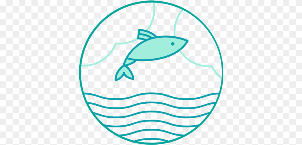 Fish Icon Direct Shear Test Area Correction Equation, Animal, Sea Life, Mammal, Beluga Whale Free Transparent Png