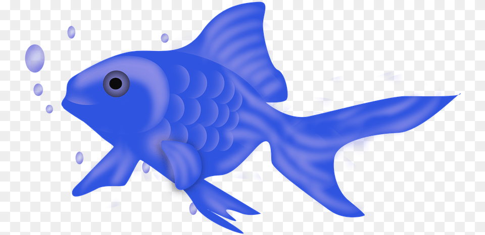 Fish Icon Fish Blue Fish Ocean Aquarium Nature Goldfish, Animal, Sea Life, Shark Free Transparent Png