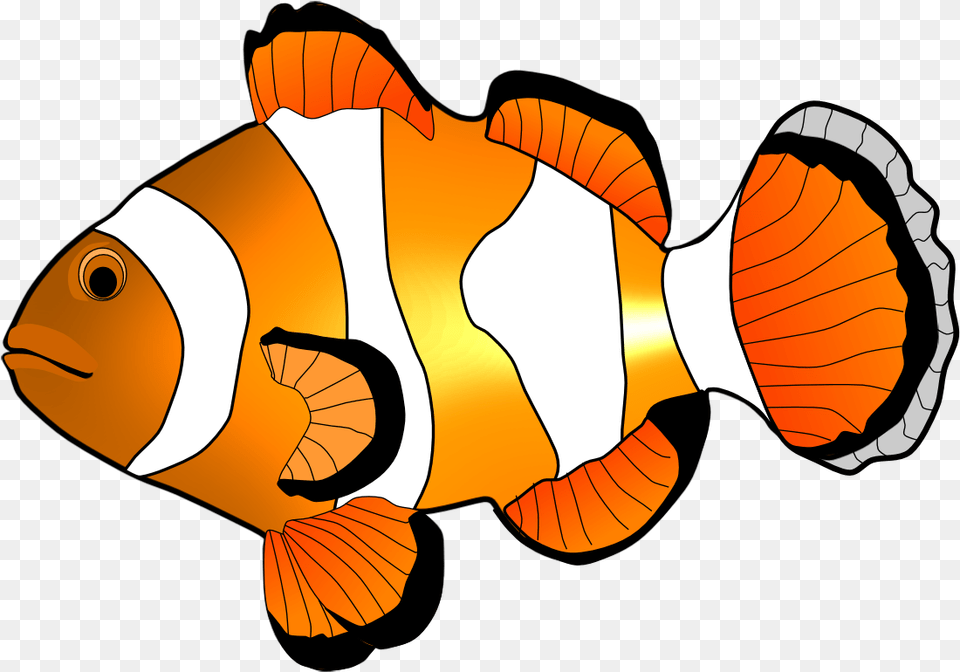 Fish Images Clip Art Many Interesting Cliparts Under The Sea Playdough Mats, Amphiprion, Animal, Sea Life, Baby Free Transparent Png