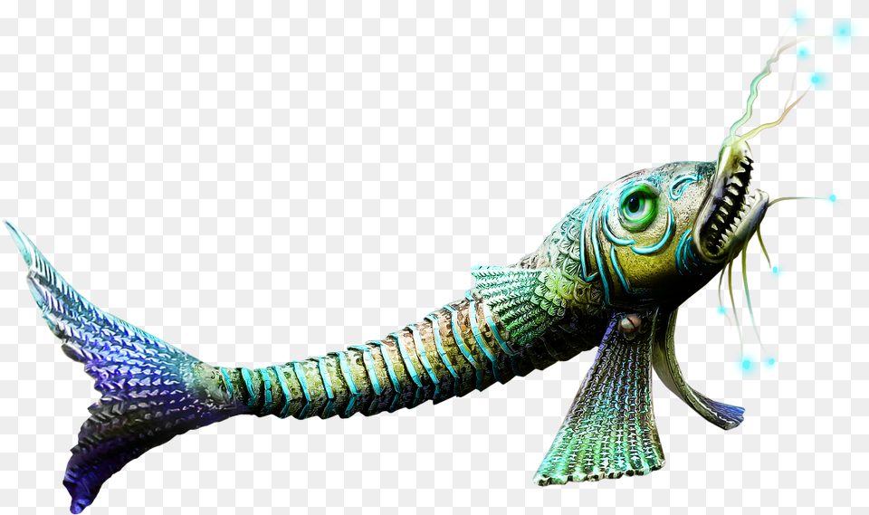 Fish Images Download, Aquatic, Water, Animal, Lizard Free Transparent Png