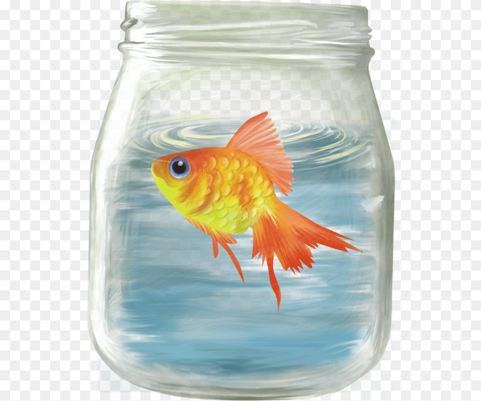 Fish In Glass Jar Fish In Jar, Animal, Sea Life Free Transparent Png