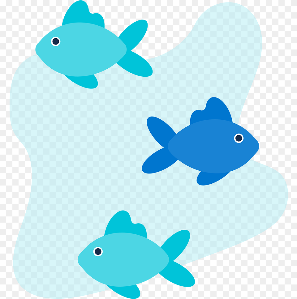 Fish In The Sea Coral Reef Fish, Animal, Sea Life, Reptile, Turtle Png