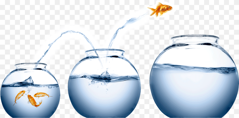 Fish Jumping From One Bowl To Another, Animal, Sea Life, Water Free Png Download