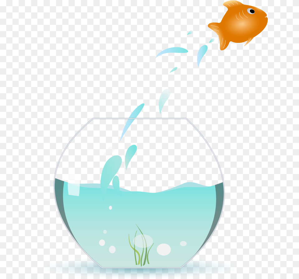 Fish Jumping Out Of Bowl, Animal, Sea Life, Aquarium, Water Free Png