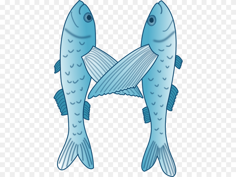 Fish Letter M, Animal, Sea Life, Seafood, Mullet Fish Free Png Download