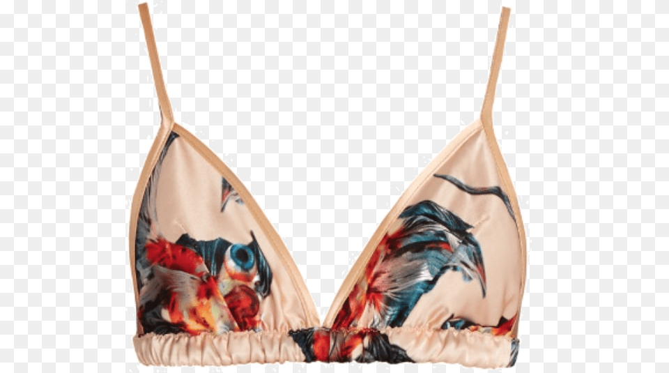 Fish Lingerie, Bra, Clothing, Underwear, Swimwear Free Transparent Png