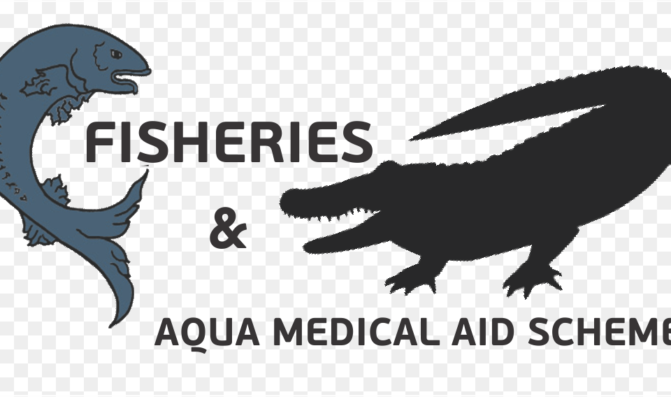 Fish Logo Medicine, Animal, Sea Life, Shark Png