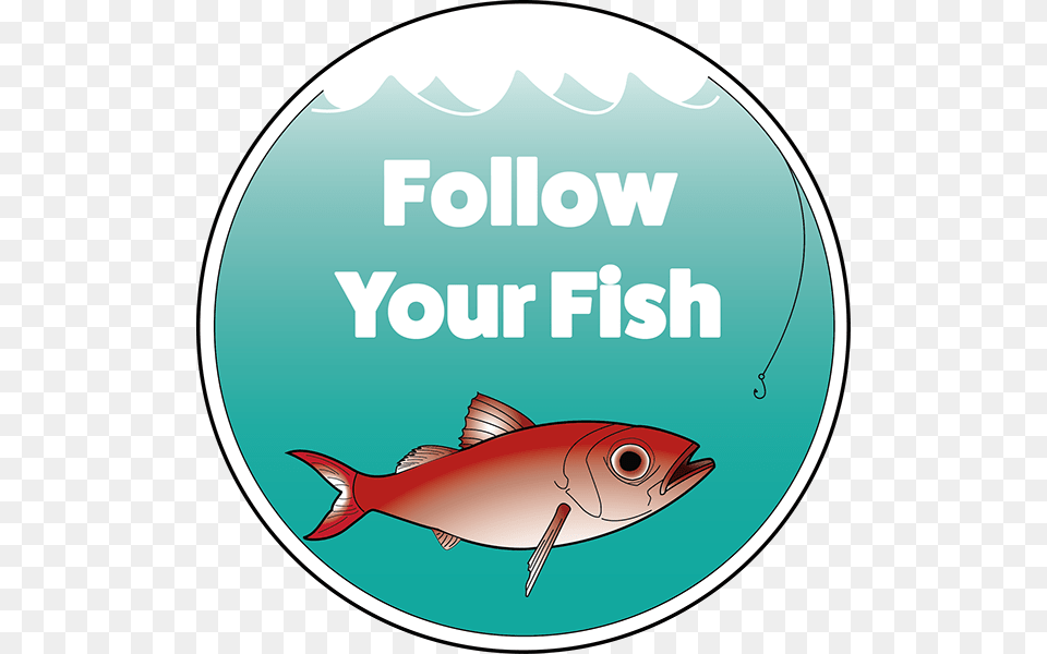 Fish Logo Muhammadiyah University Of Jakarta, Animal, Sea Life Png Image