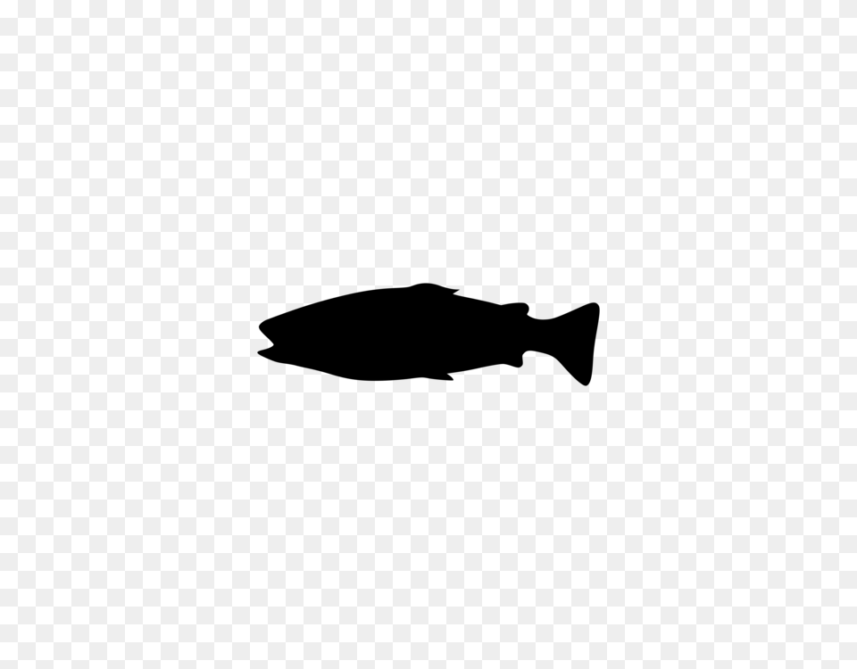 Fish Manoletina Salmon Food Animal, Gray Png Image