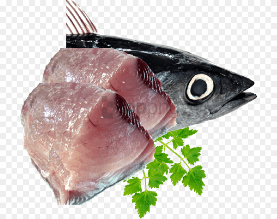 Fish Meat Image With Transparent Background Fish Meat, Animal, Sea Life, Tuna Free Png Download