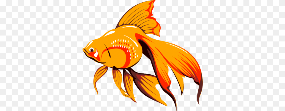 Fish Net Clipart Goldfish, Animal, Sea Life, Adult, Female Free Png