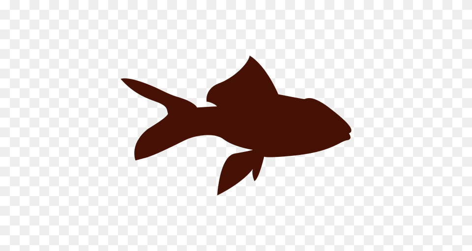 Fish Pet Silhouette, Animal, Sea Life, Shark Free Transparent Png