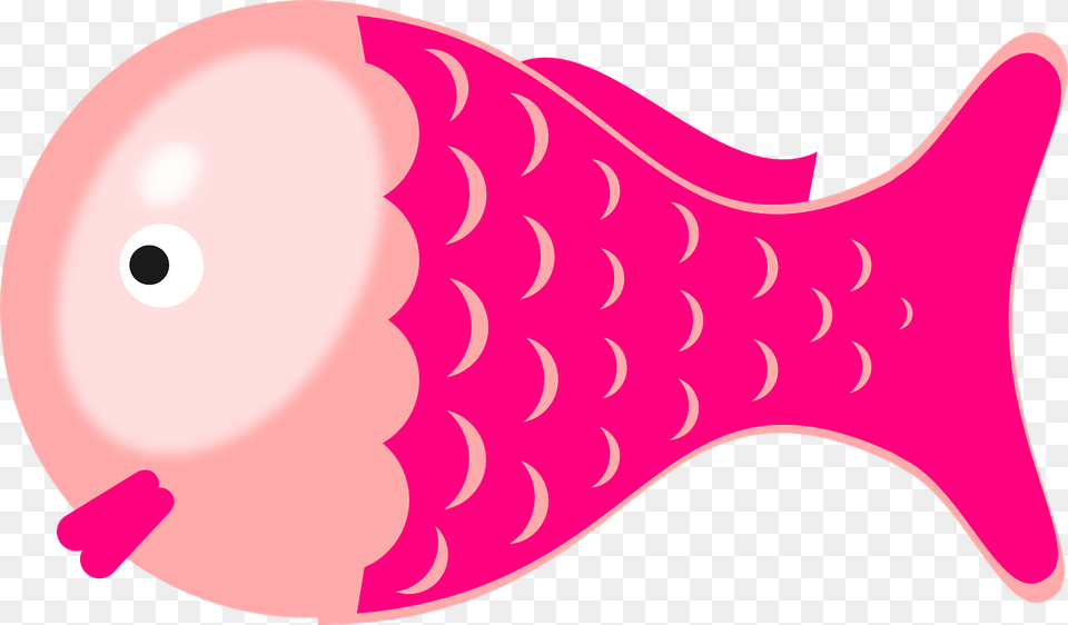Fish Pink Clipart, Dynamite, Weapon, Animal, Sea Life Free Png Download