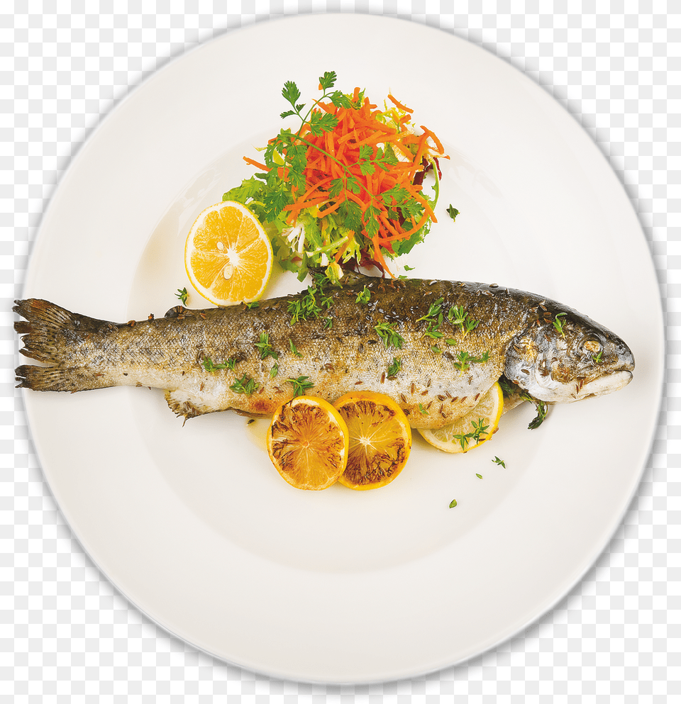 Fish Plate Download, Food, Food Presentation, Meal, Dish Free Png