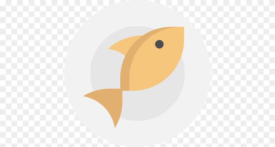 Fish Plate Icon, Animal, Sea Life, Disk Free Transparent Png