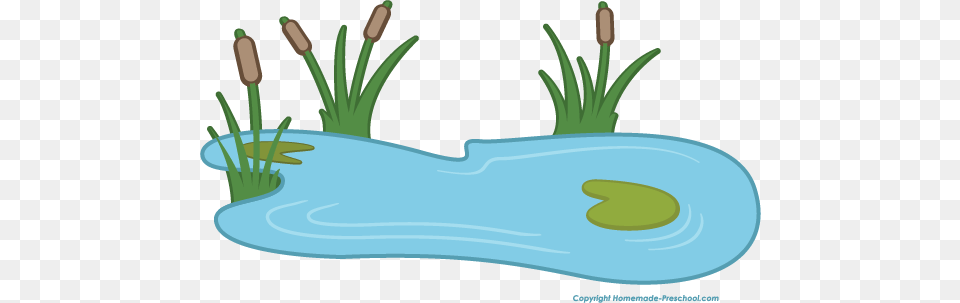 Fish Pond Cliparts, Flax, Flower, Plant, Water Png