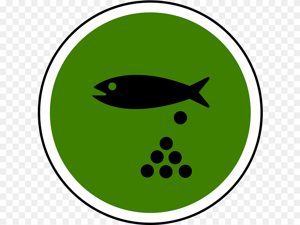 Fish Pond Water Vector Graphic On Pixabay Spawn, Animal, Sea Life, Green Png