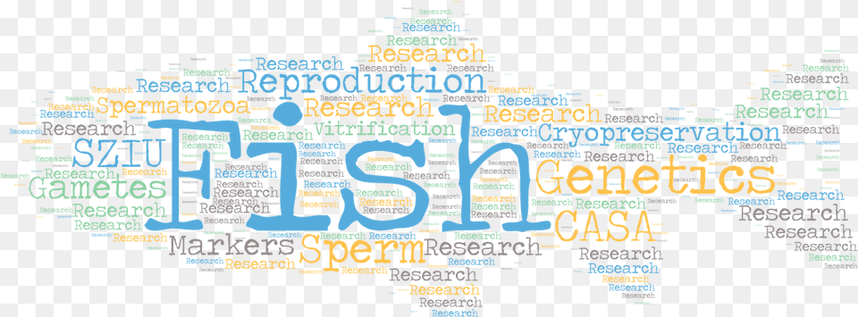 Fish Reproduction Group, Advertisement, Poster, Text Free Png Download