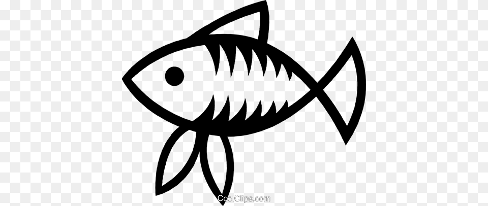 Fish Royalty Vector Clip Art Illustration, Animal, Sea Life, Tuna, Bonito Free Transparent Png