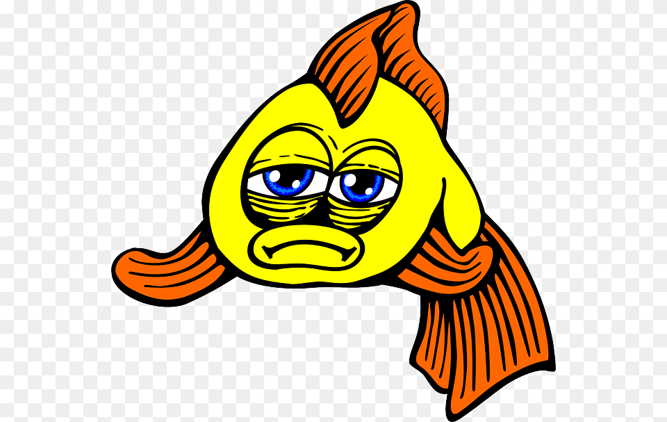 Fish Sad Goldfish Yellow Animal Sad Fish Clipart, Baby, Person, Sea Life, Face Free Transparent Png