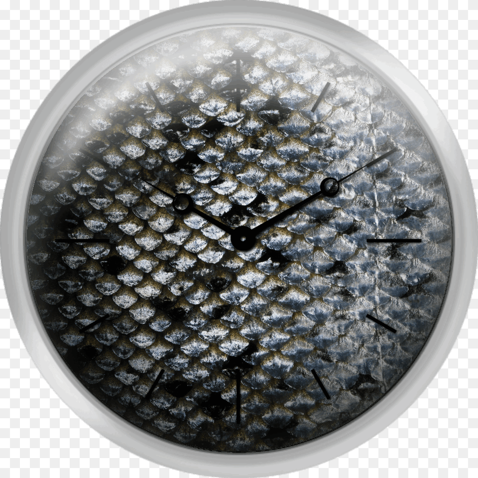Fish Scale Free Transparent Png
