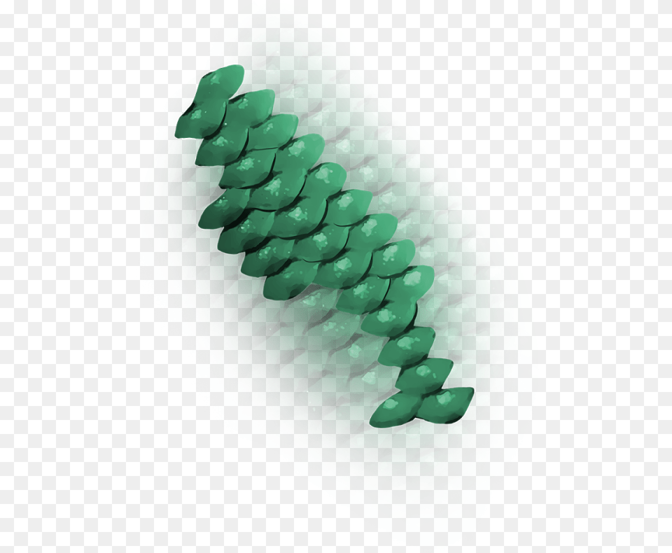 Fish Scales, Plant, Tree, Flower, Rose Png Image