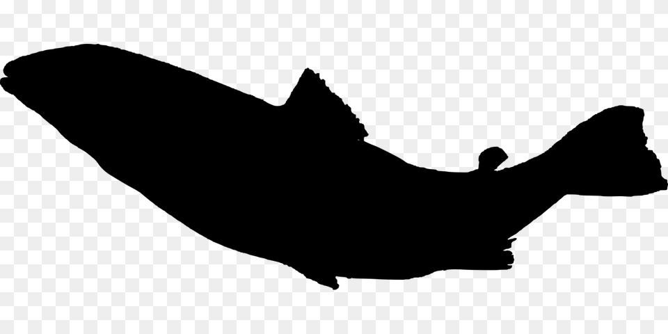 Fish Sea Life Food Silhouette Fishing, Gray Free Png Download