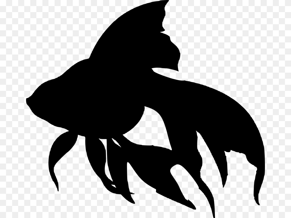 Fish Sea Silhouette Water Creatures Fish Silhouette, Gray Png
