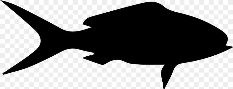 Fish Shape Of Queen Snapper Shape Of A Fish, Silhouette, Animal, Sea Life, Shark Free Transparent Png