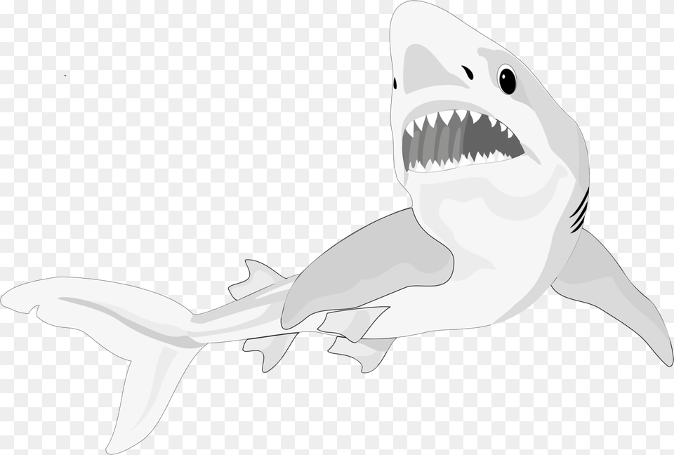 Fish Shark Clipart Nine Portable Network Graphics, Animal, Sea Life, Great White Shark Free Transparent Png