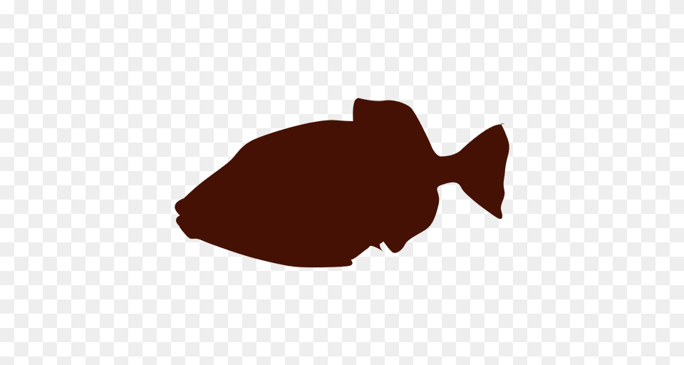 Fish Silhouette, Animal, Sea Life, Shark, Halibut Free Png Download