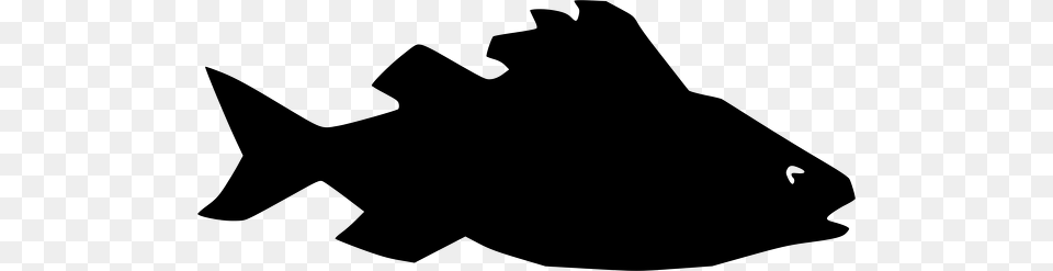 Fish Silhouette, Gray Free Png Download