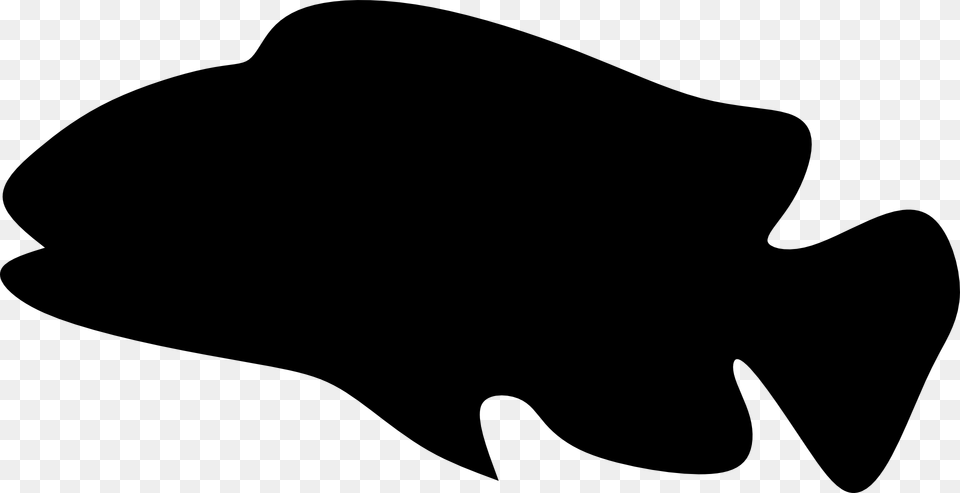 Fish Silhouette, Stencil, Animal, Sea Life, Shark Free Transparent Png