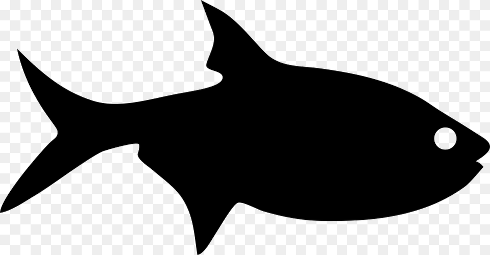 Fish Silhouette Fish Silhouette, Stencil, Animal, Sea Life, Shark Free Png