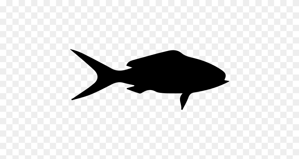 Fish Silhouette Icon, Gray Png