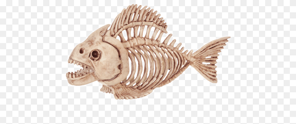 Fish Skeleton Halloween Decoration Halloween Animal Skeleton Decorations, Sea Life, Fossil Free Png Download