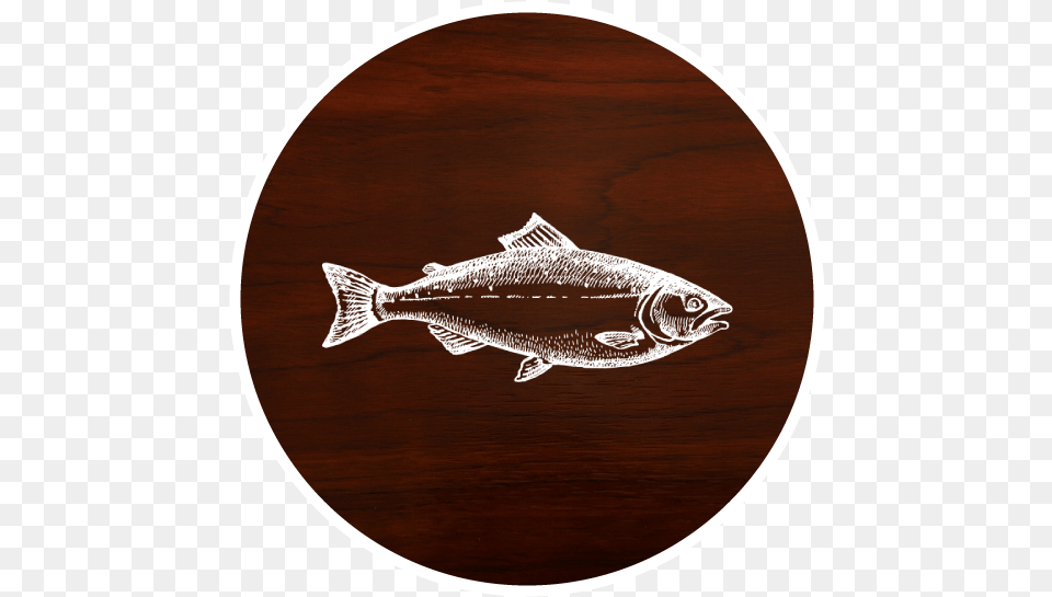 Fish Sockeye Salmon, Animal, Coho, Sea Life, Trout Free Png Download