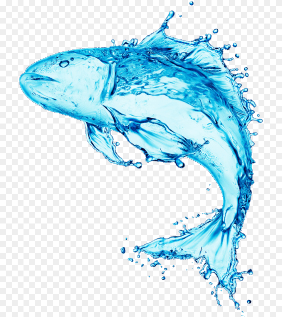 Fish Stock Photography Water Royalty Water Fish Made Of Water, Animal, Sea Life, Shark Png Image