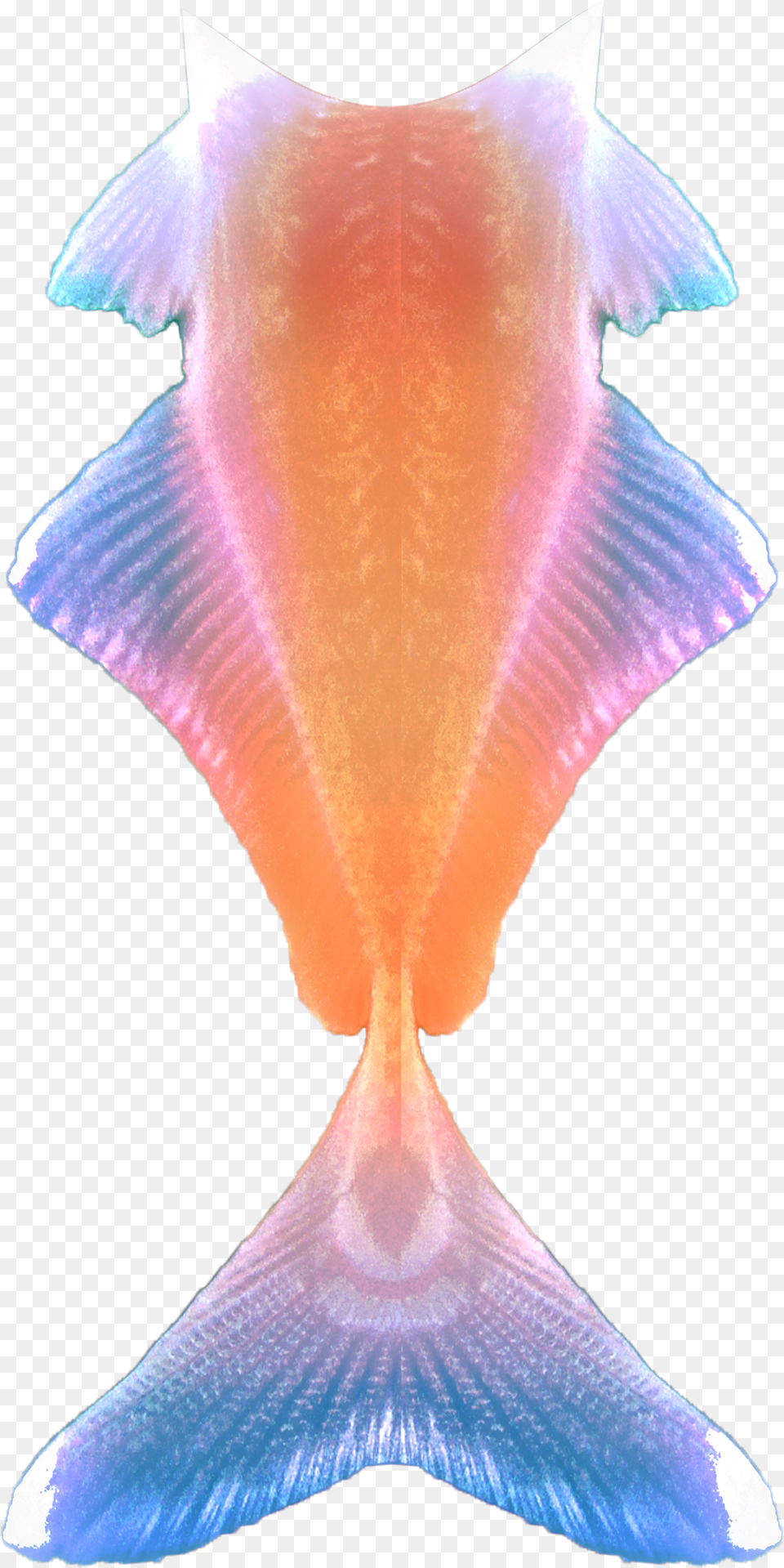 Fish Tail By Lavandalu Library Fish Tail Free Png Download