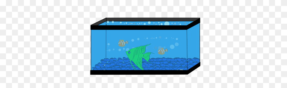 Fish Tank Clip Art, Animal, Aquarium, Sea Life, Water Free Transparent Png