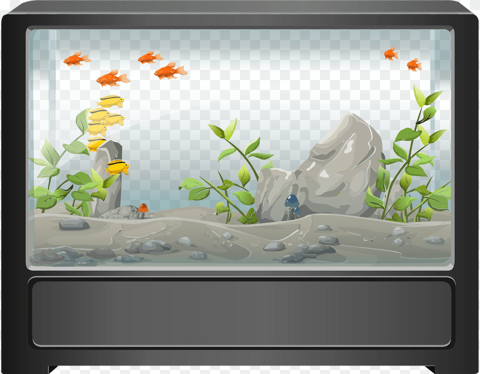 Fish Tank Clipart, Tv, Computer Hardware, Electronics, Hardware Png Image