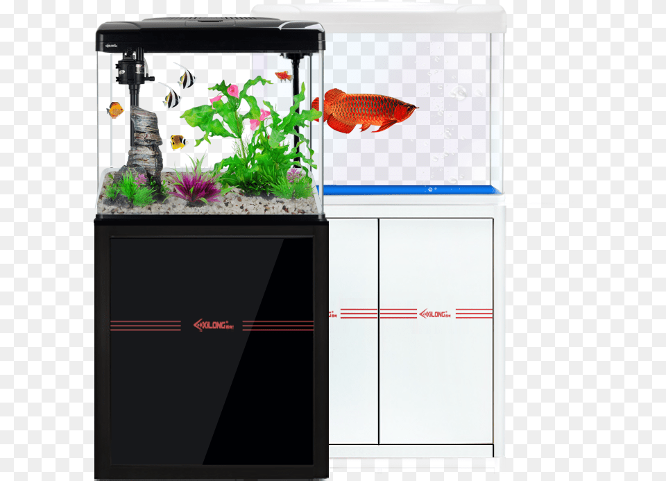 Fish Tank Form Aquarium, Animal, Sea Life, Water Free Png Download