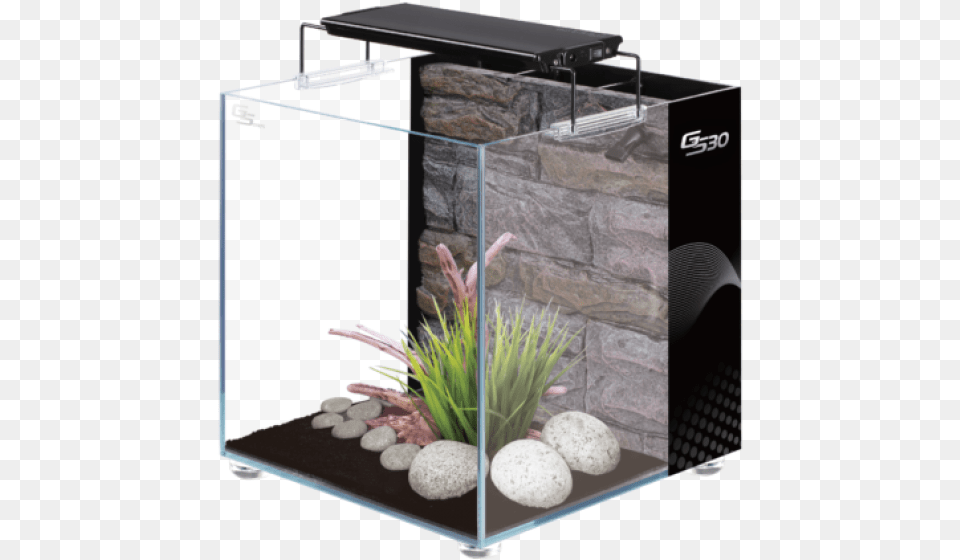 Fish Tank4x Dymax, Animal, Aquarium, Sea Life, Water Free Png Download