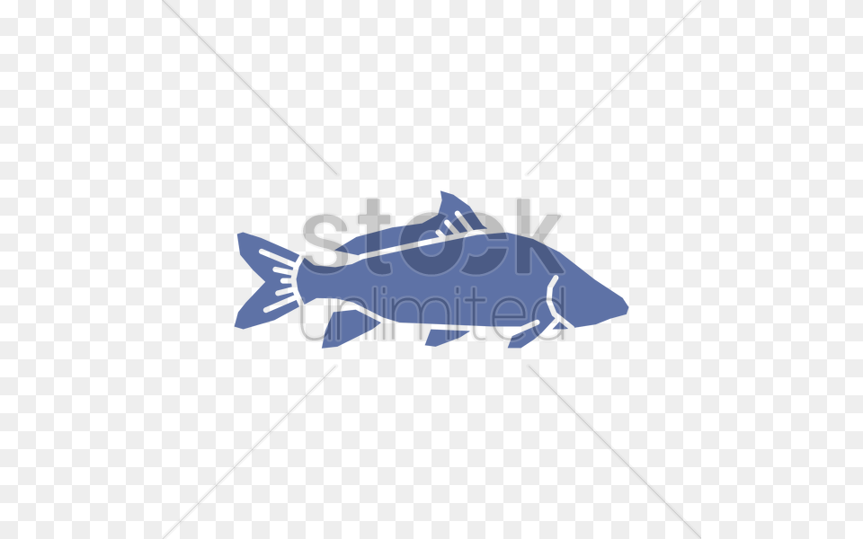 Fish Vector, Animal, Sea Life, Tuna, Dynamite Png