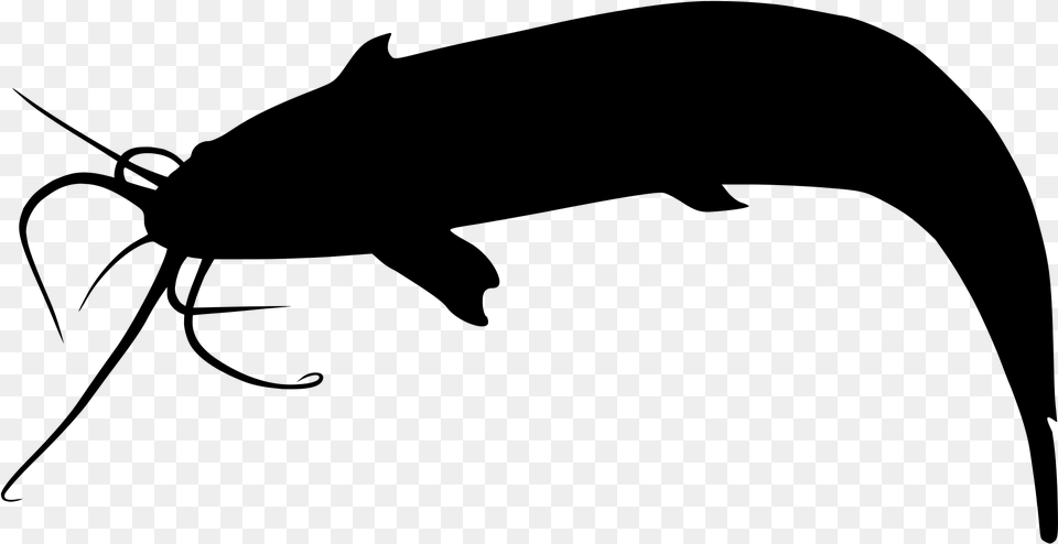 Fish Vector Catfish Walking Catfish Cartoon, Gray Free Png