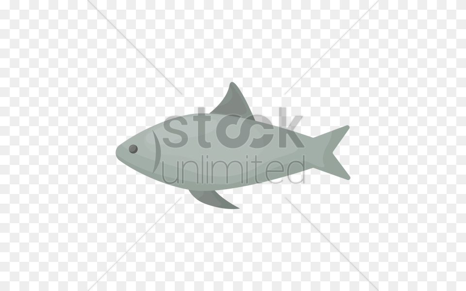 Fish Vector Image, Animal, Sea Life, Tuna, Shark Free Png